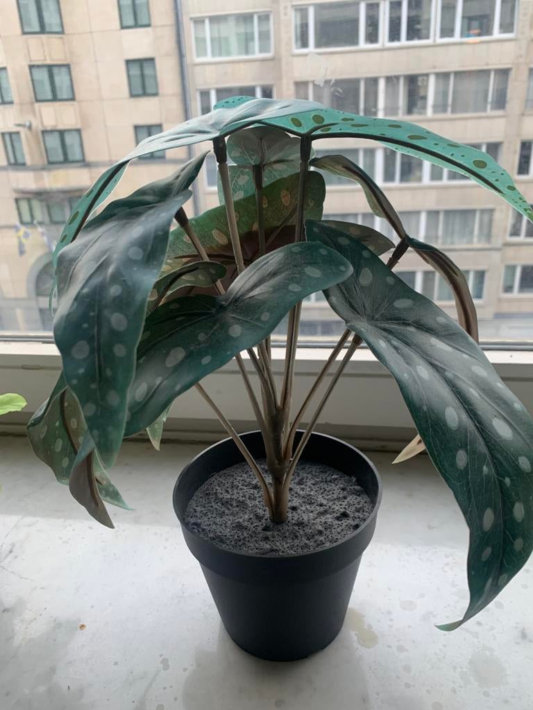 Plante artificielle, Enlèvement