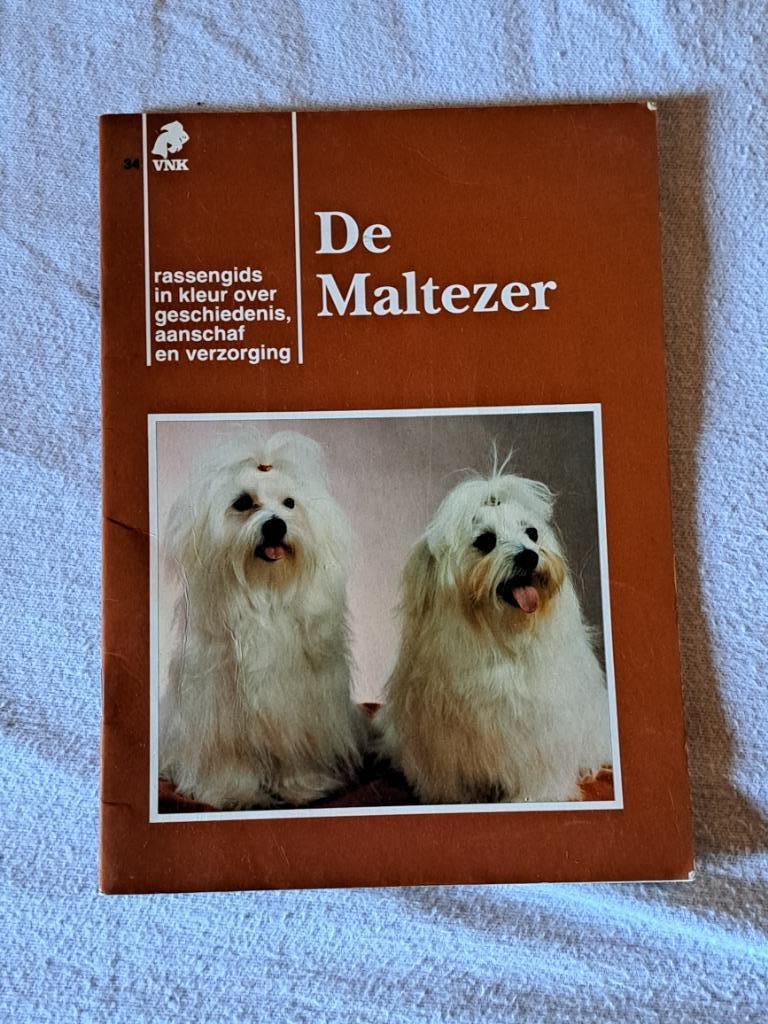 De maltezer, Boeken, Dieren en Huisdieren, Ophalen of Verzenden