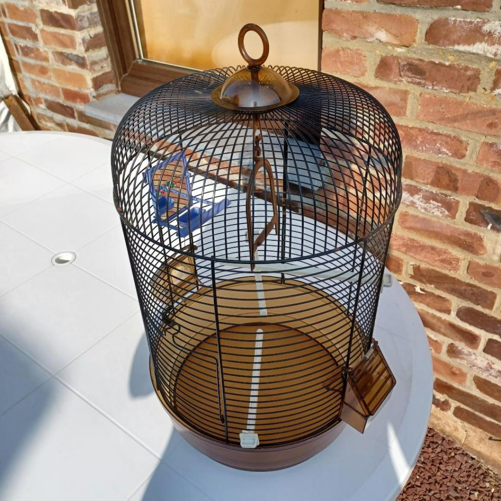 Vogelkooi met toebehoren, Dieren en Toebehoren, Ophalen, Gebruikt, Metaal, Vogelkooi