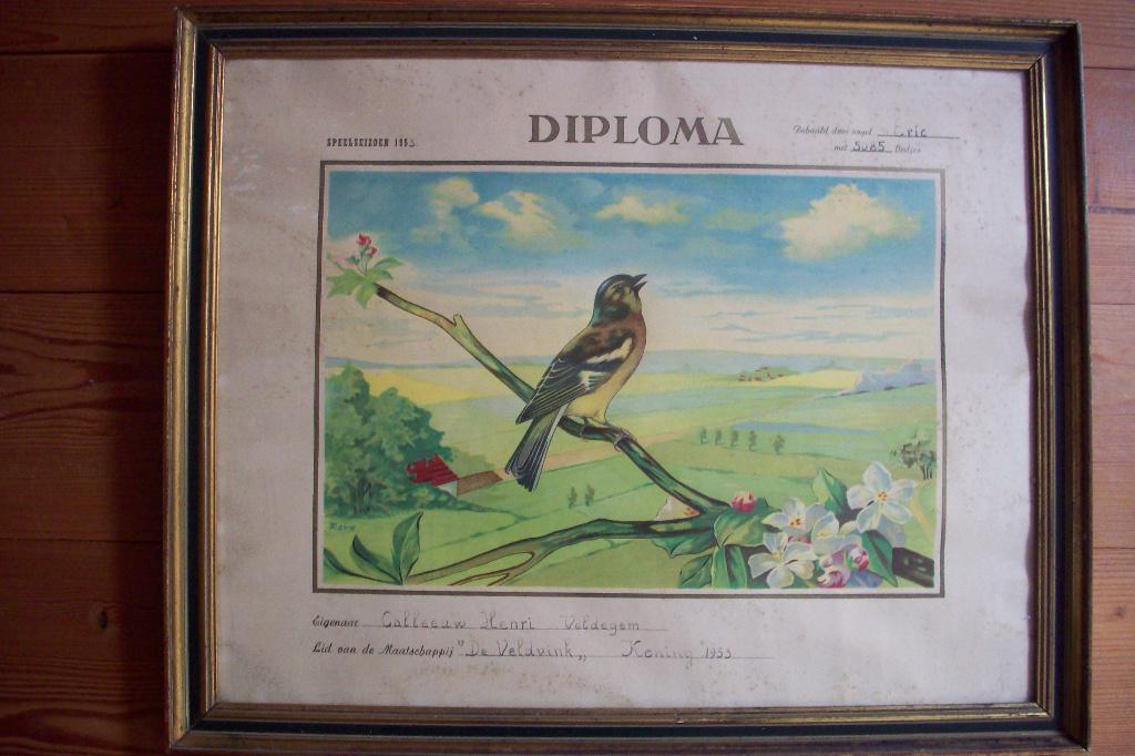 Vinkendiploma 1953, Enlèvement, Utilisé, Autres types