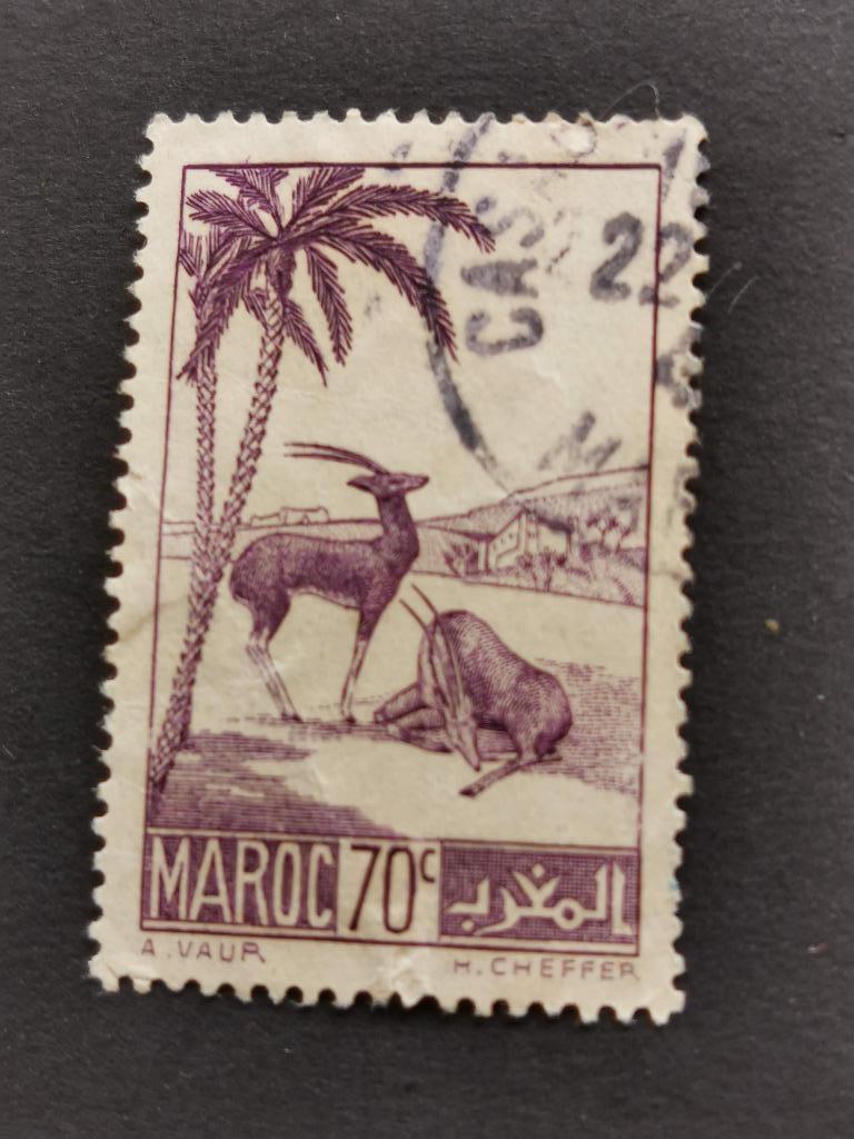 Marokko 1939 - wilde dieren - gazelle, Ophalen of Verzenden, Marokko, Gestempeld
