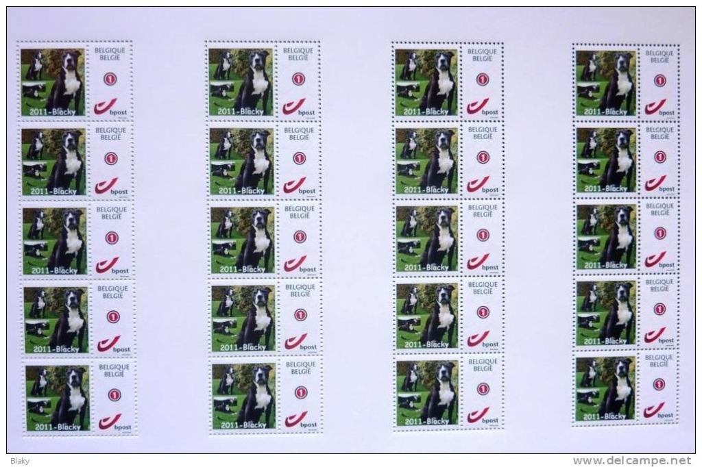 2012-American Staffordshire Terrier-20 timbres blaky, Ophalen of Verzenden, Met plakker