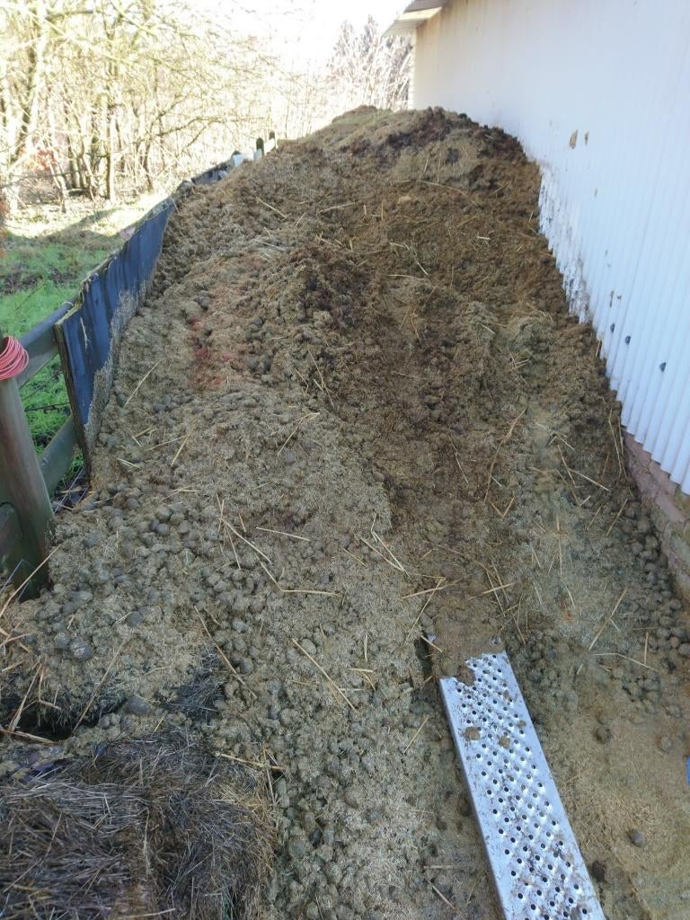 GRATIS Paardenmest gehakseld stro te Holsbeek, Ophalen, Mest