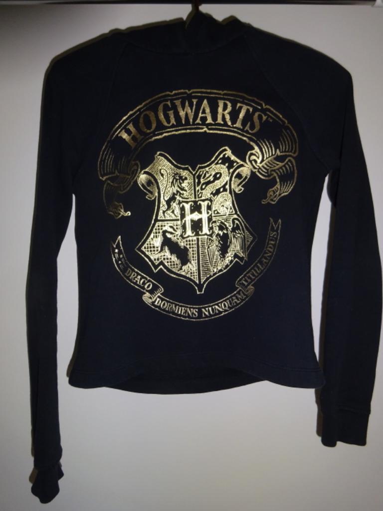 Zwarte hoodie Harry Potter 158/164 ACTIE 4 + 1 gratis, Enfants & Bébés, Vêtements enfant | Taille 158, Comme neuf, Garçon ou Fille