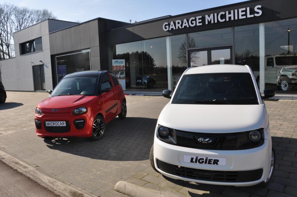 Ligier Myli E.PIC Elektrisch 8.28kWh, Achat, Entreprise, Automatique, Cuir synthéthique