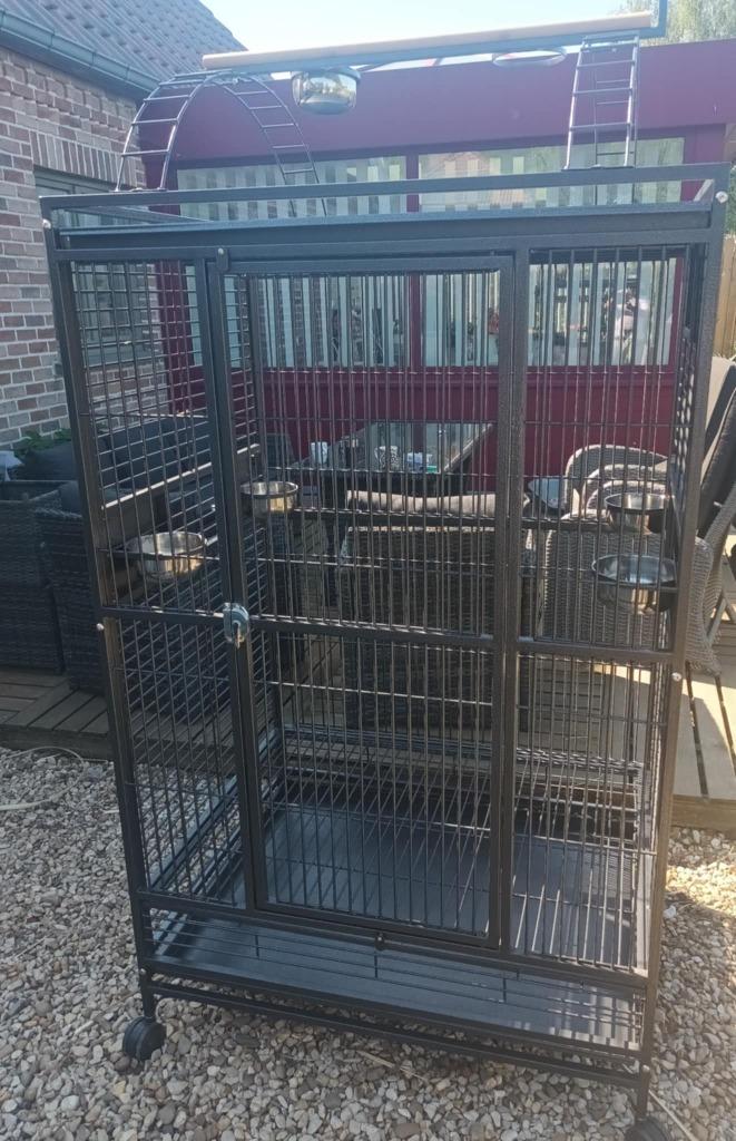 Grande Cage perroquet XXl, Enlèvement, Comme neuf, Métal, Cage à oiseaux