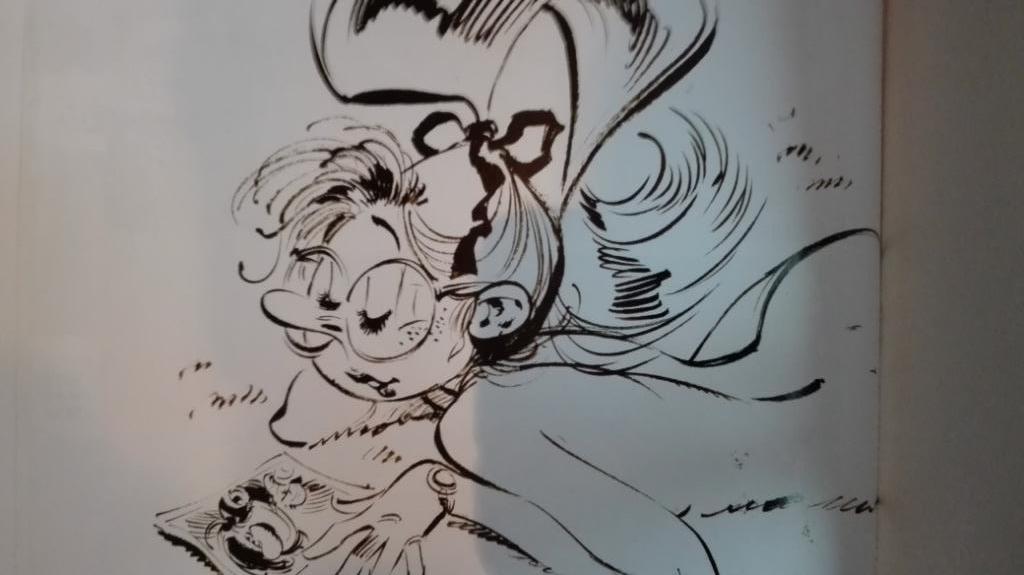 54) 1 strip waar jij nooit van kon vermoeden dat hij bestond, Eén stripboek, Ophalen of Verzenden, Gelezen