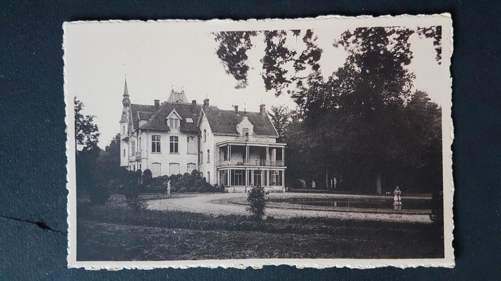Postkaart Wuustwezel Het Sterbos, Verzamelen, Postkaarten | België, Ophalen of Verzenden, 1940 tot 1960, Ongelopen, Antwerpen