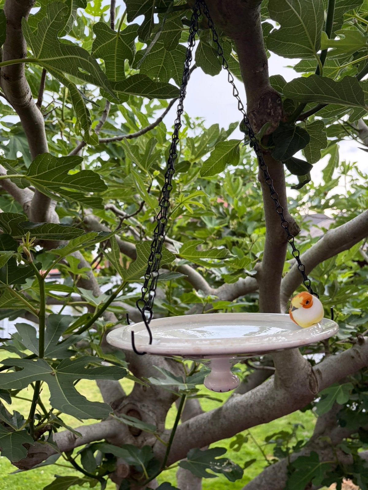 Abreuvoir à oiseaux, Jardin & Terrasse, Enlèvement, Comme neuf