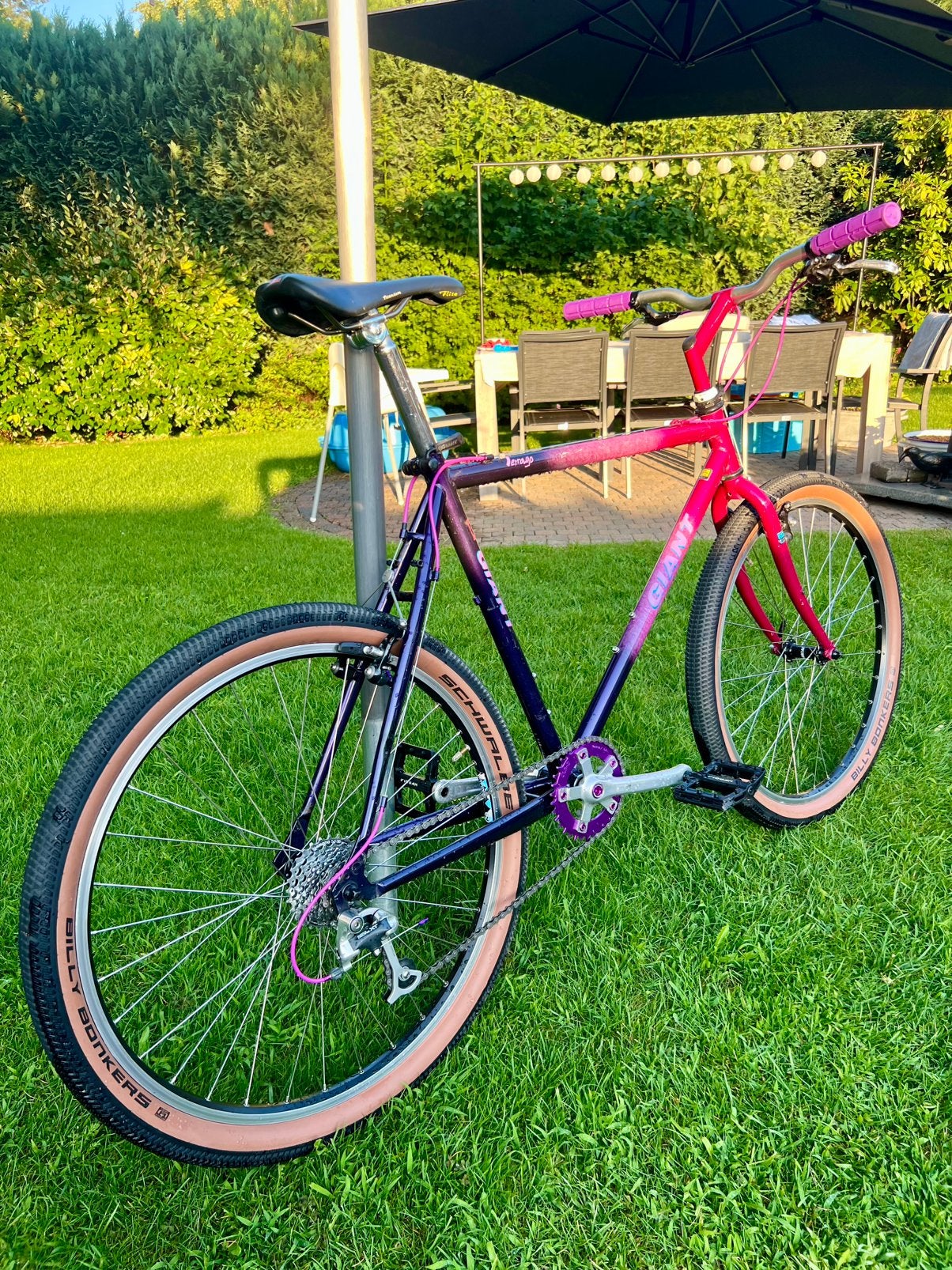Giant Terrago 90’s mtb !!, Vélos & Vélomoteurs, Enlèvement, Comme neuf, Giant