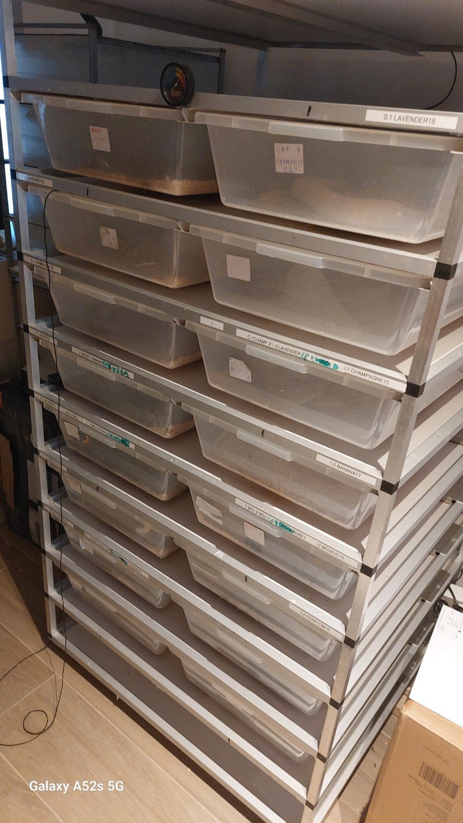 V70 rack plus 4 diertjes, Dieren en Toebehoren, Ophalen