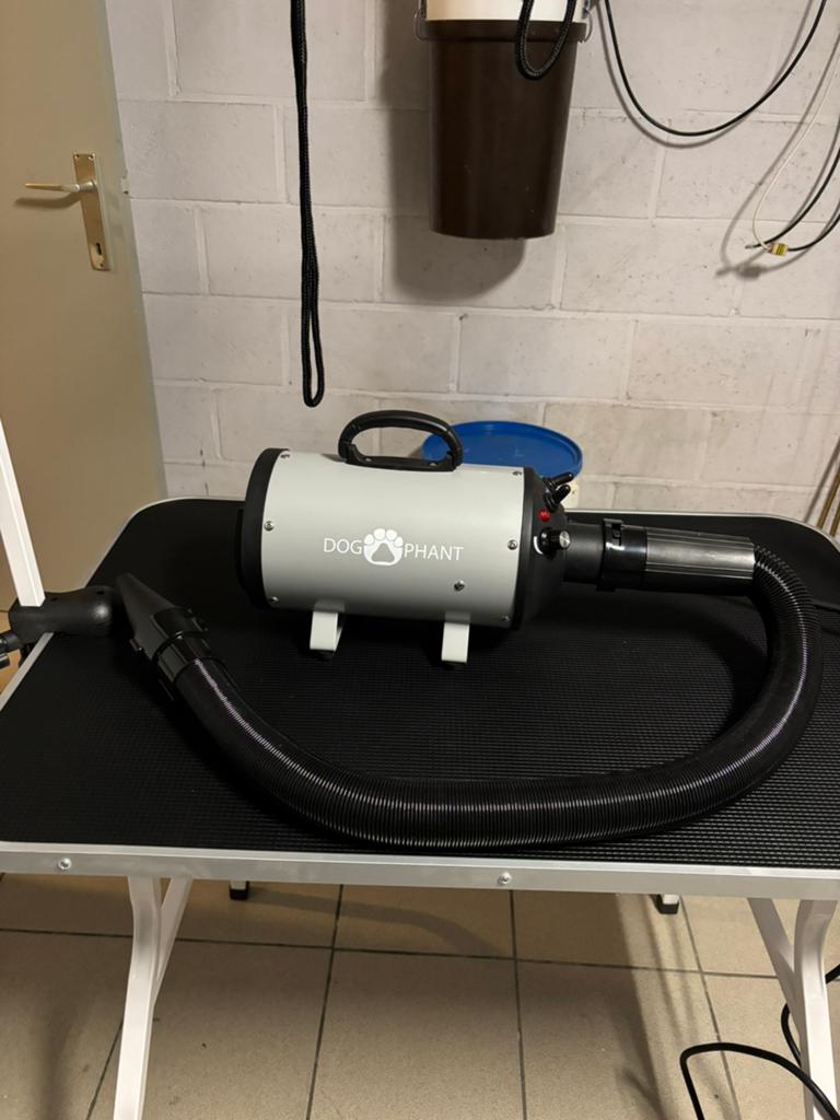 Professionele waterblazer (hondenföhn), Toilettage ou Soins