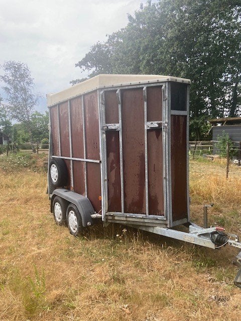 Paardentrailer met vernieuwde, rotvrije bodem., Ophalen, Gebruikt, Hout, 2-paards trailer
