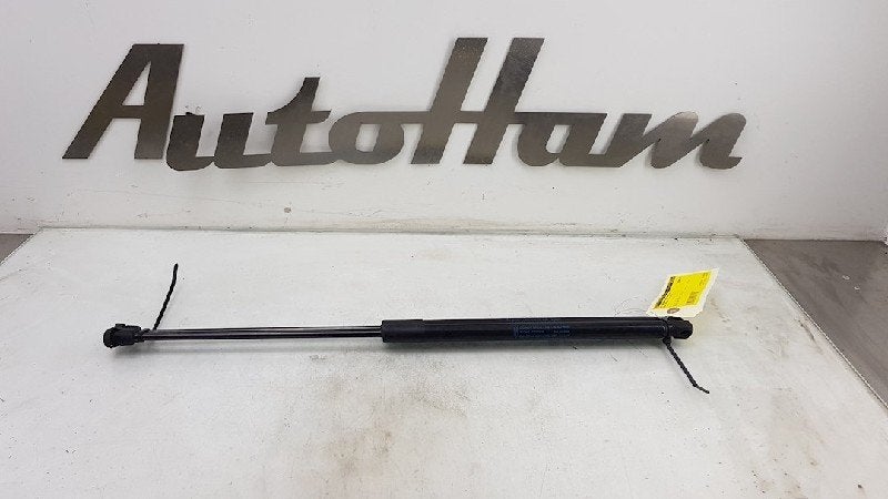 GASDRUKVEERSET ACHTER Focus 3 (|BM51A406A10AE|1747492|), Gebruikt, Ford
