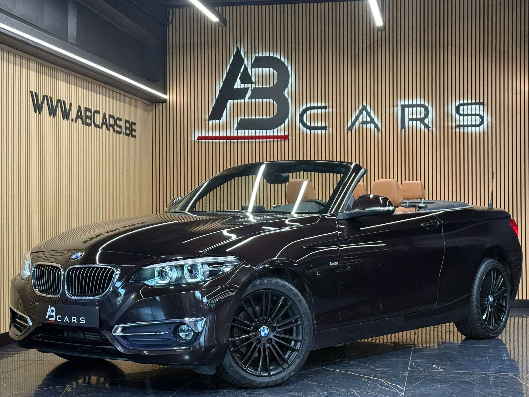 BMW 2 Serie 218 IA PACK LUXURY CABRIOLET * GARANTIE 12 MOIS, Autos, Euro 6, Entreprise, Cabriolet, https://public.car-pass.be/vhr/3bf7deeb-21bf-4ffb-9af3-6125ac9e390b