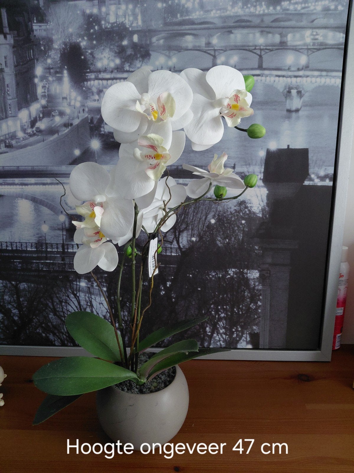 Fleur d'orchidée (plante artificielle), Maison & Meubles, Accessoires pour la Maison | Plantes & Fleurs artificielles, Intérieur