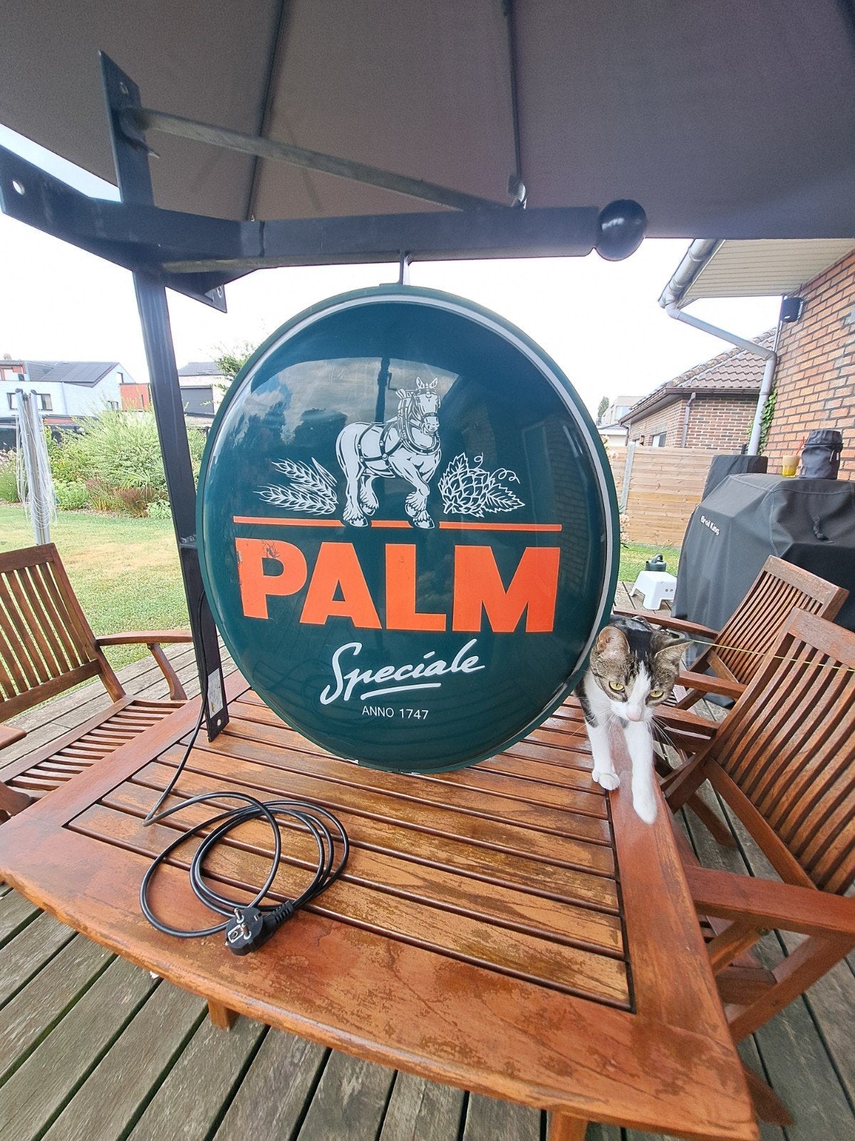 Boîte à lumière/panneau d'enseigne Original Palm Special av, Collections, Marques & Objets publicitaires, Utilisé, Table lumineuse ou lampe (néon)