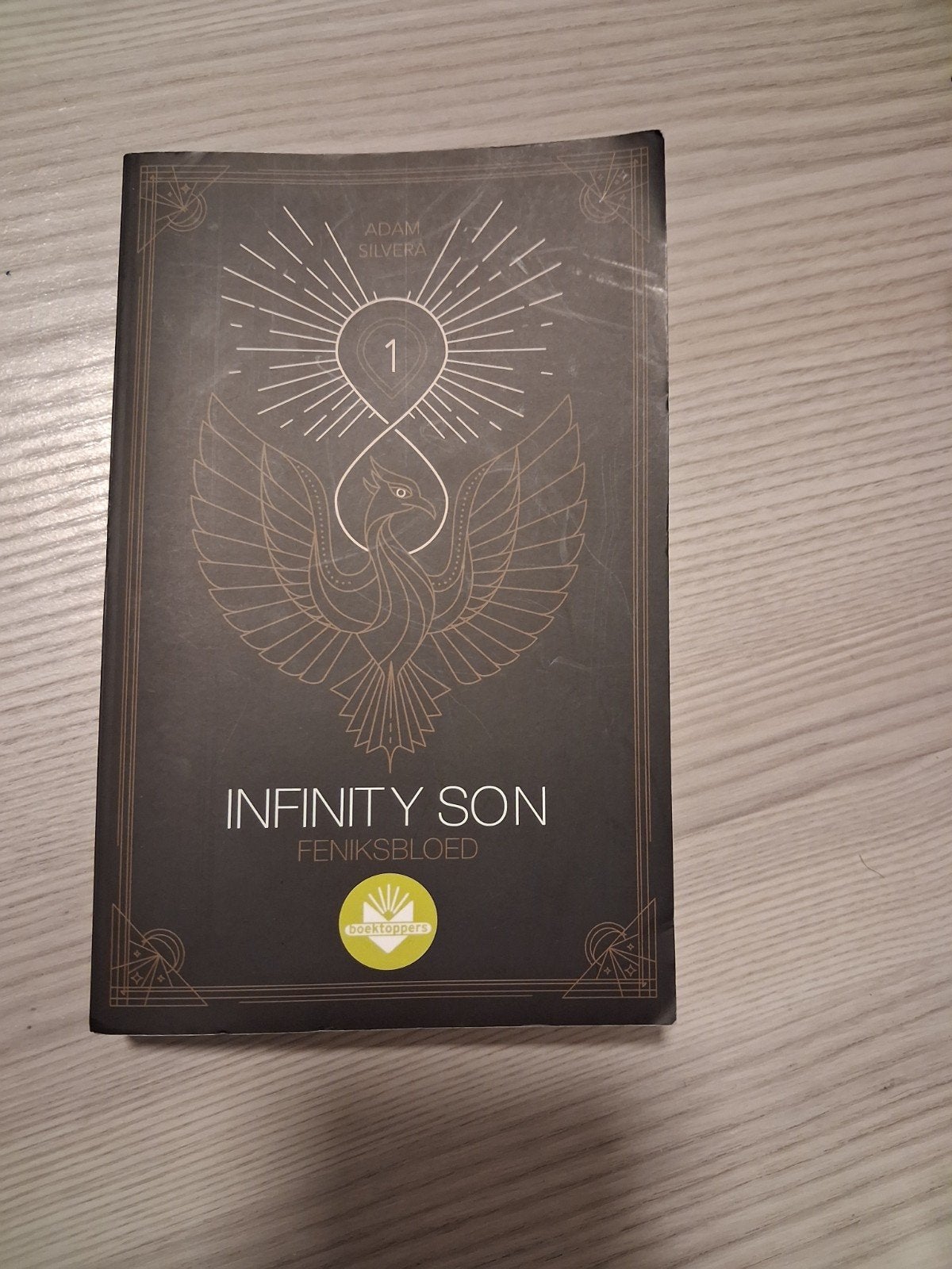 Boek te koop: Infinity Son Feniksbloed door Adam Silvera, Consoles de jeu & Jeux vidéo, Jeux | PC, Enlèvement, Utilisé, Aventure et Action