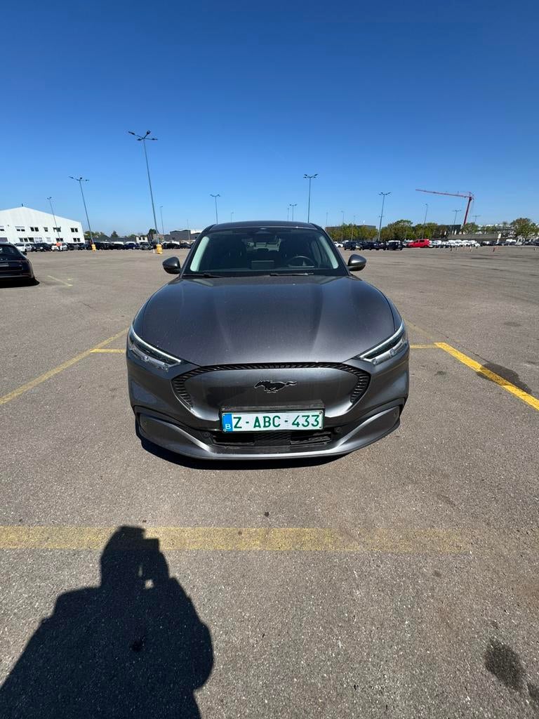 Ford Mustang Mach E, Autos, Argent ou Gris, Achat, Euro 6, Entreprise