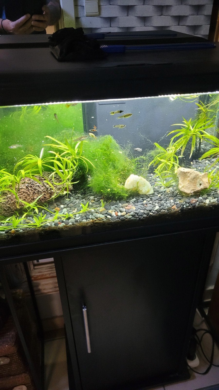 à vendre aquarium 60-30-30, Animaux & Accessoires, Enlèvement, Couvercle inclus, Utilisé
