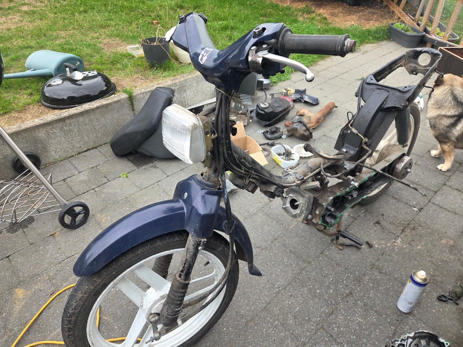 honda wallaroo A + papieren 1999, original project, Enlèvement, Utilisé, Classe A (25 km/h)