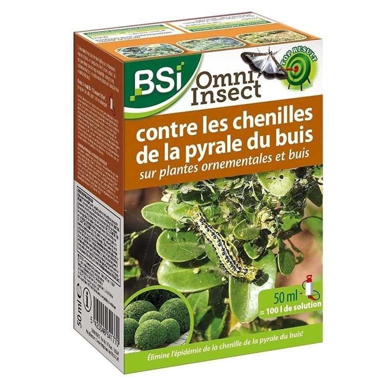 Lot BSI - Buis moths, Tuin en Terras, Ophalen of Verzenden, Buxus, Haag