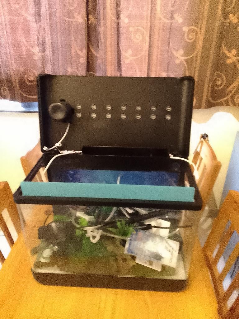 Aquarium, Enlèvement, Couvercle inclus, Comme neuf, Aquarium vide