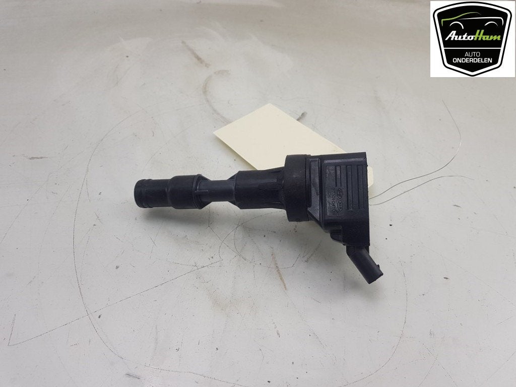 PEN BOBINE Hyundai i20 (GBB) (|2730104110|), Dhr. J. Ham, Gebruikt, Administratie@autoham.nl, Hyundai