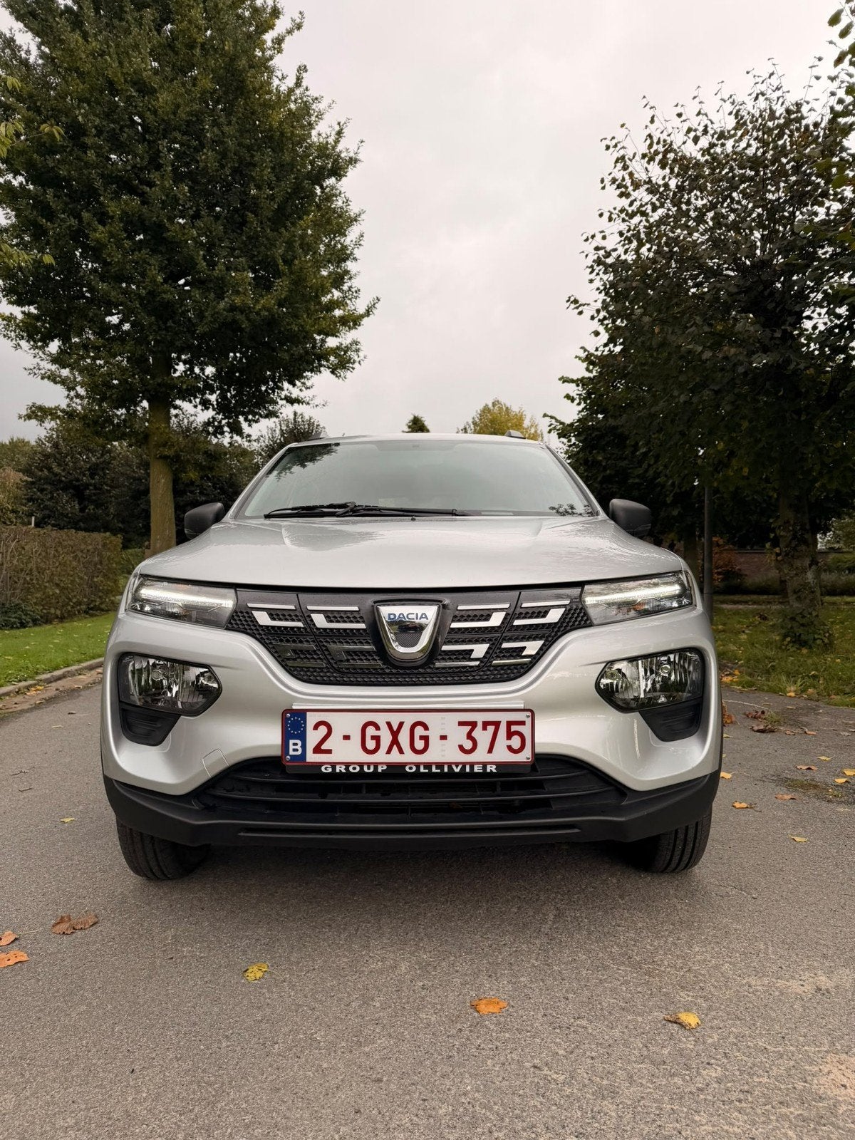 Dacia Spring, véhicule électrique professionnel de 27,4 kWh, Autos, Argent ou Gris, Achat, Euro 6, Entretenue par le concessionnaire