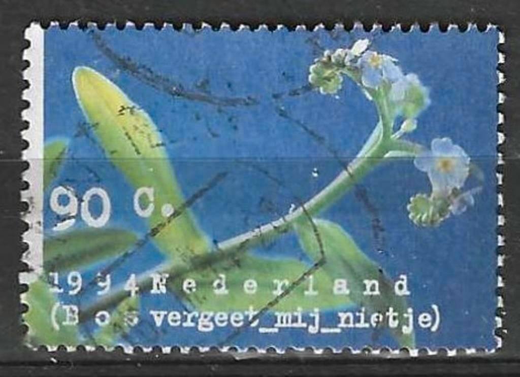 Pays-Bas 1994 - Yvert 1470 - Forest Forget-me-Not (ST), Envoi, Affranchi