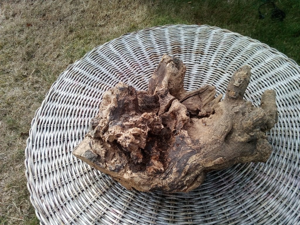 stukken hout voor terrarium, Dieren en Toebehoren, Ophalen