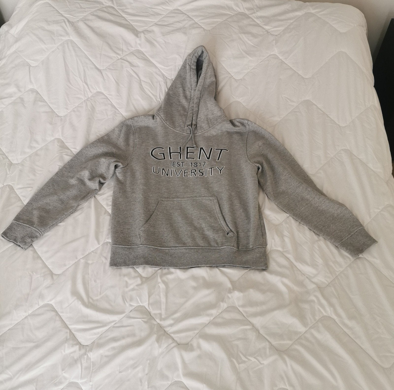 Grijze Hoodie, Kleding | Heren, Truien en Vesten, Ophalen of Verzenden, Maat 52/54 (L)