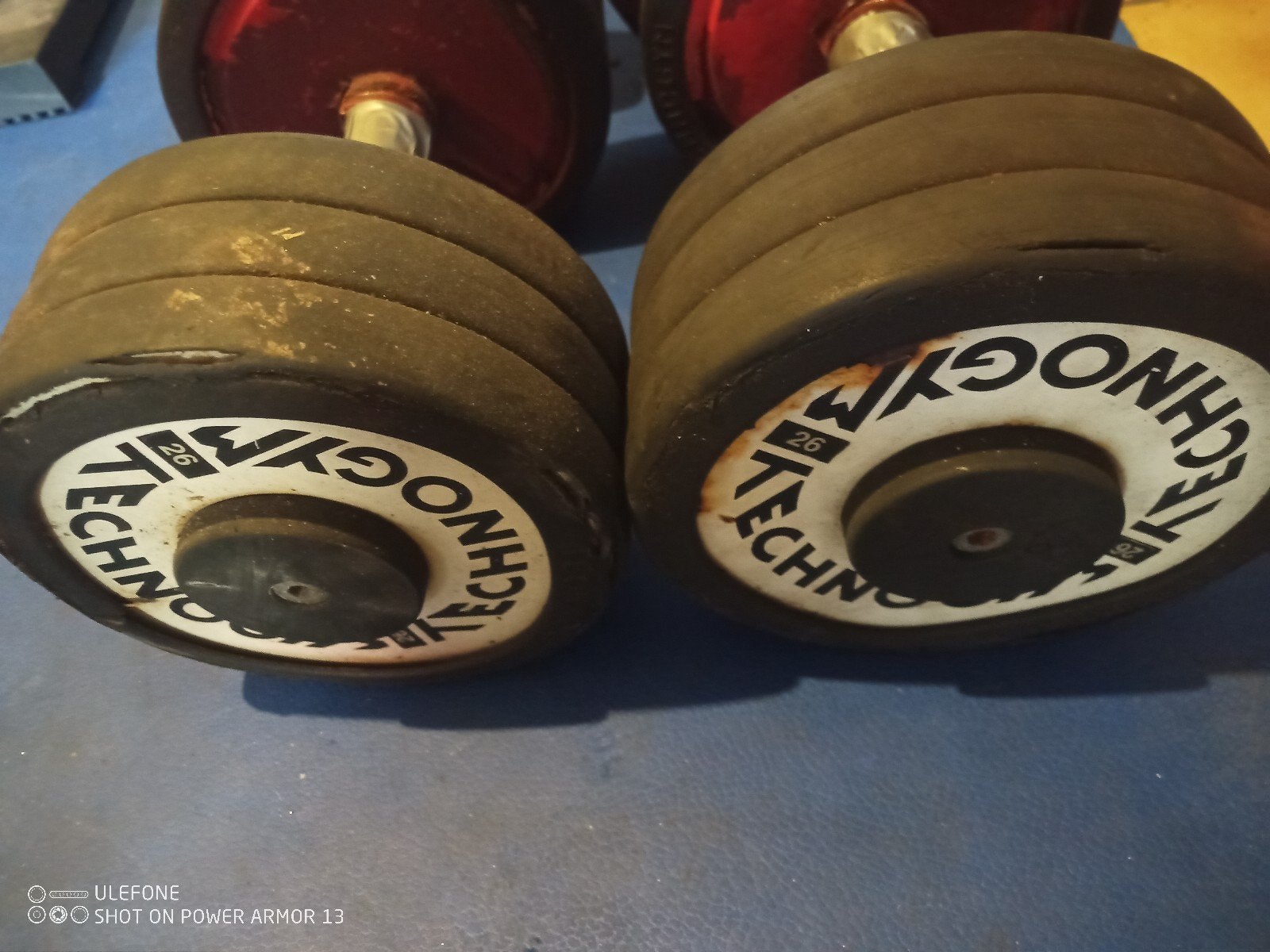 technogym dumbells 26 kg, Sport en Fitness, Ophalen