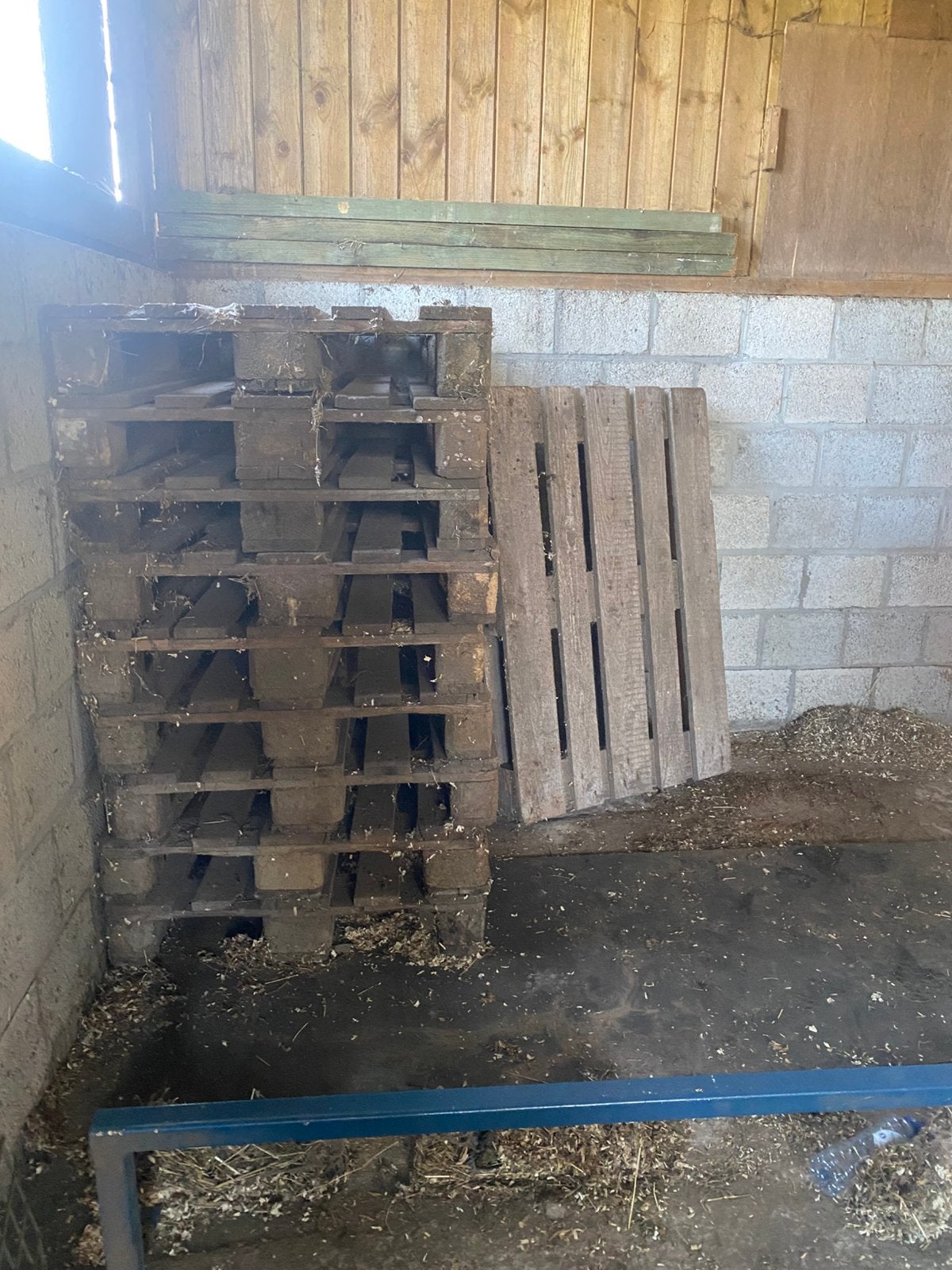 EUROPALETTEN, Doe-het-zelf en Bouw, Ophalen, Gebruikt, Eiken, Pallet
