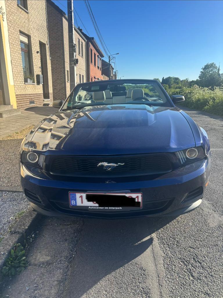 Mustang cabriolet, Autos, Ford, Cuir, Achat, Beige, Cabriolet