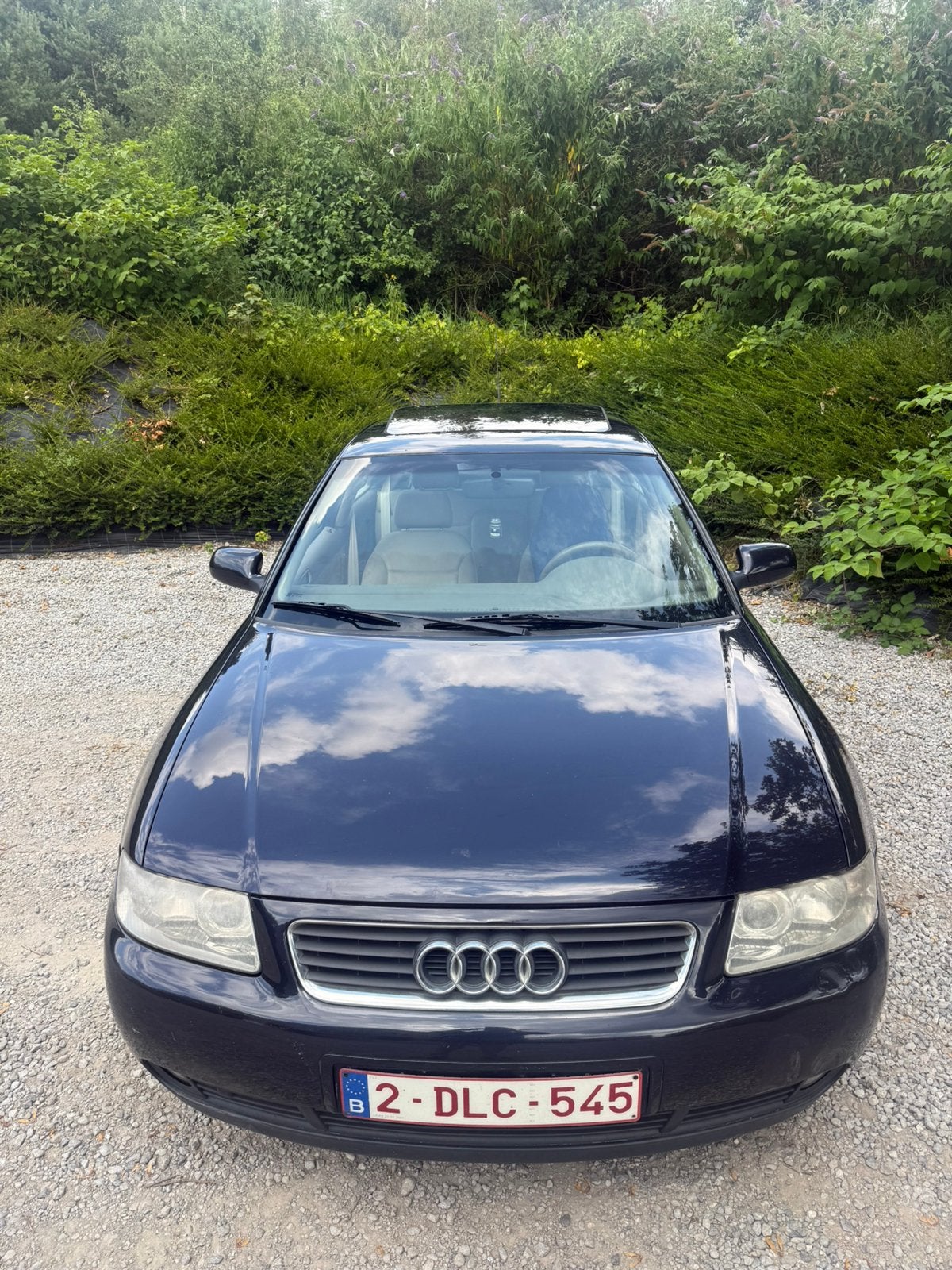 Audi a3 8l 1.9tdi, Beige, 4 cilinders, Zwart, Particulier