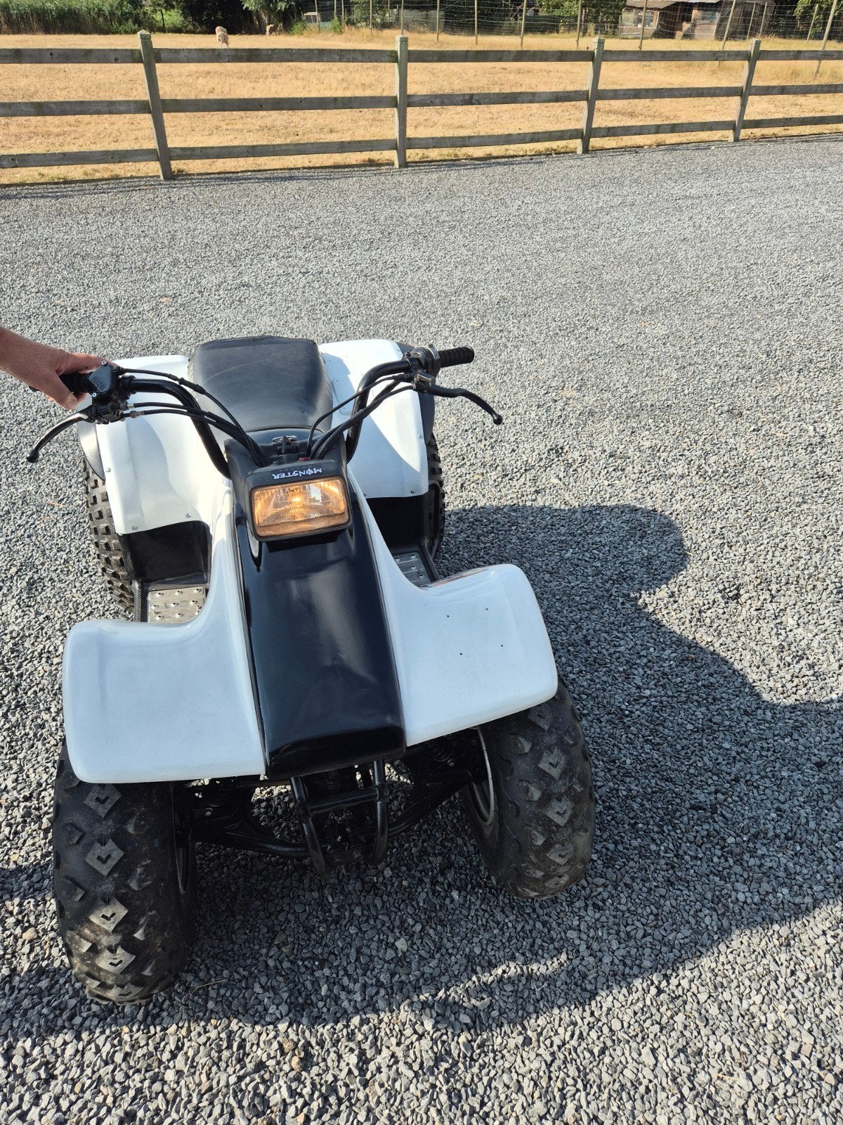 Quad Yamaha, Motoren