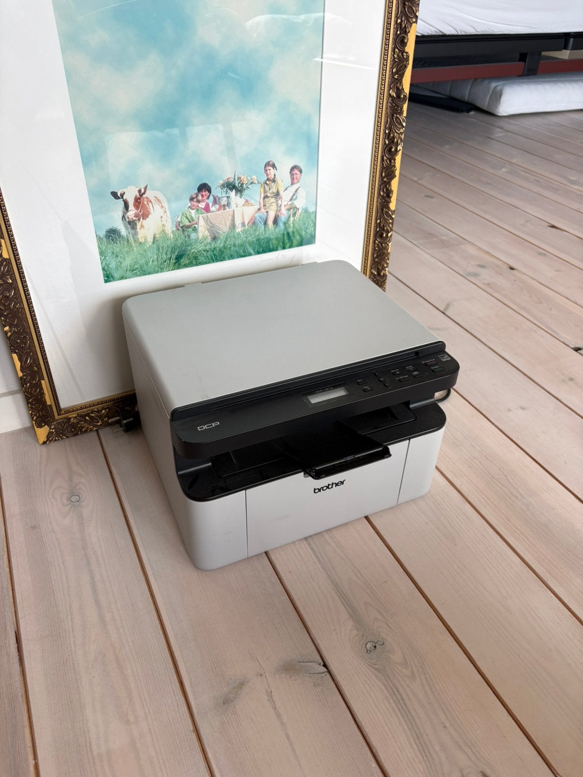 Printer brother dcp 100, Computers en Software, Ophalen, Gebruikt, Printer