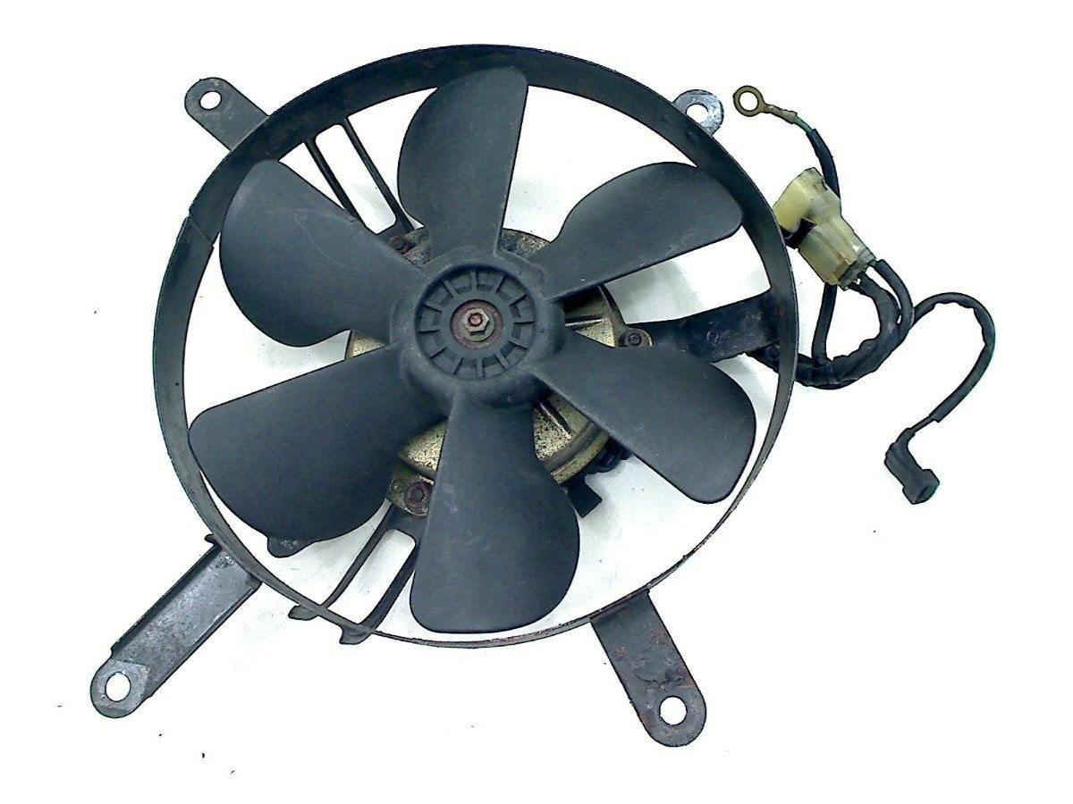VENTILATOR CBR 1100 XX Blackbird 1996-1998 (CBR1100XX), Dhr. S. di Majo, Gebruikt, Info@cama-motorparts.nl, P.J. Troelstraweg 8 8
3144 CX  MAASSLUIS, NL