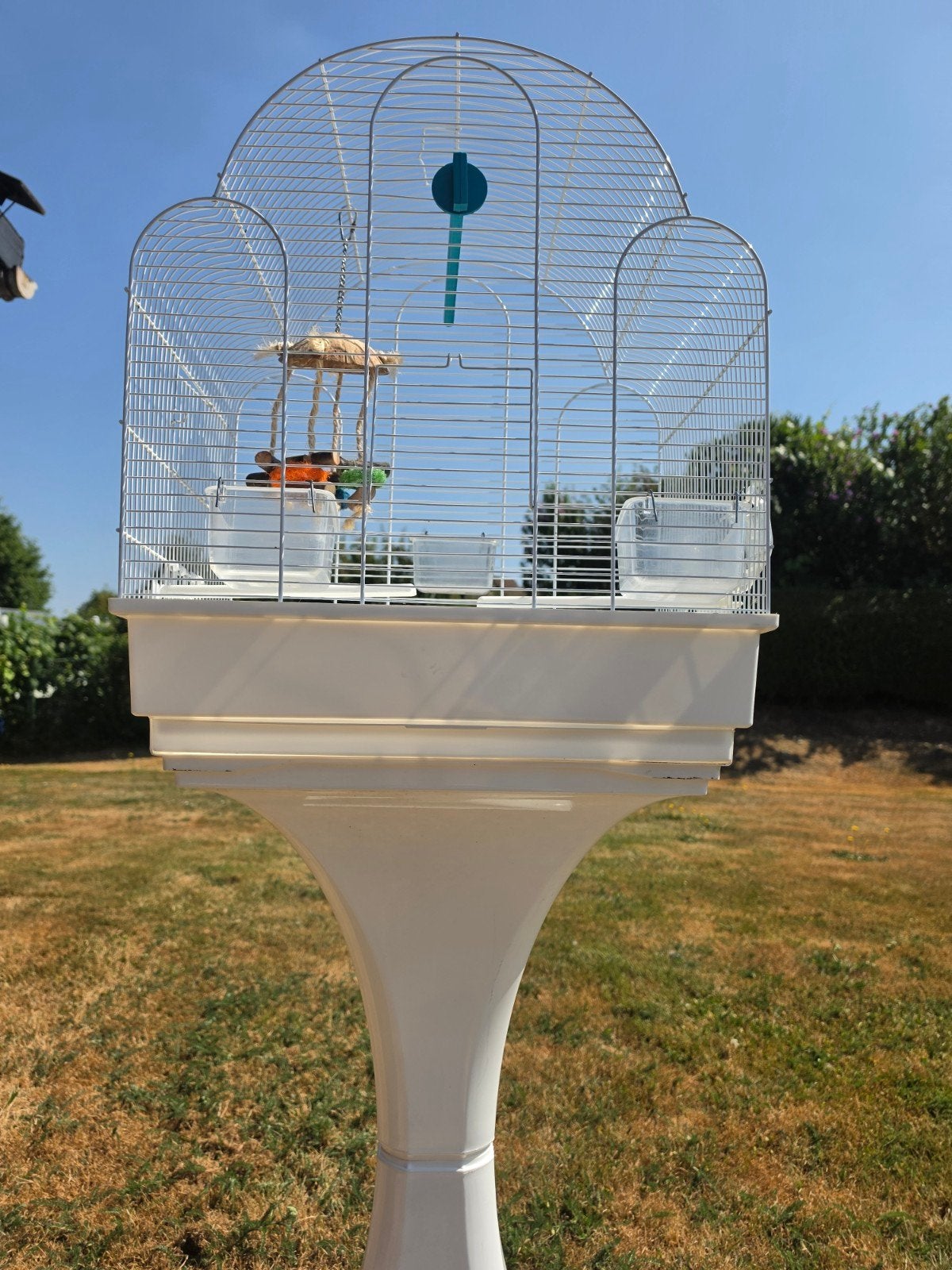 cage  sur pieds et roulettes complète  en bon état 50€, Ophalen, Zo goed als nieuw, Metaal, Vogelkooi