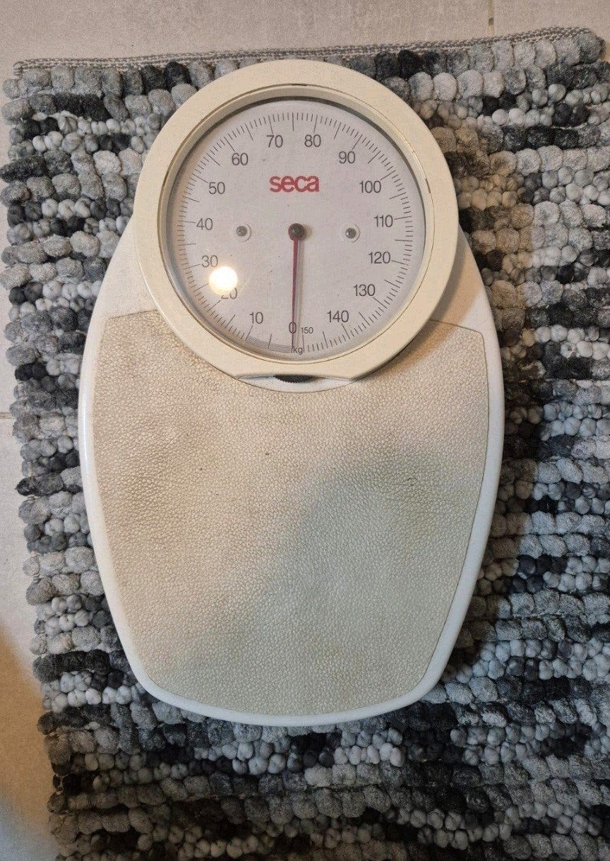 seca professionele  weegschaal, Ophalen of Verzenden