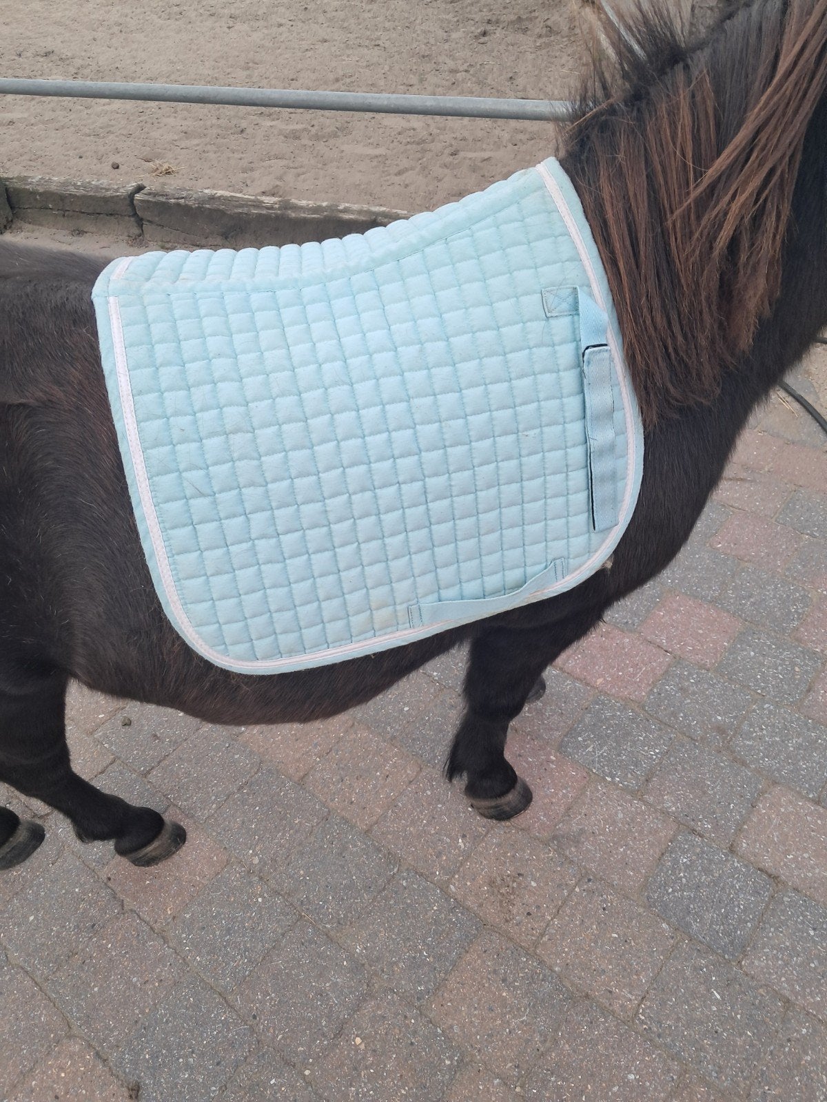 shetlander zadeldekjes, Bleu, Shetlander/Mini, Comme neuf, Enlèvement