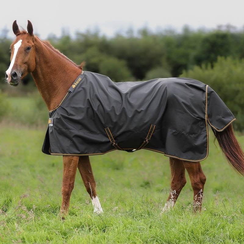 Couverture pour cheval Bucas Irish Turnout, 150 g, noir et o, Noir, 150 g, Couverture, Enlèvement