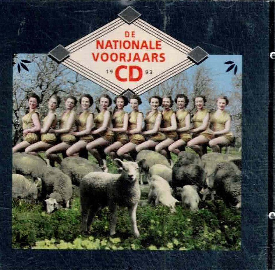 cd  /  De Nationale Voorjaars CD 1993, CD & DVD, CD | Autres CD, Enlèvement ou Envoi