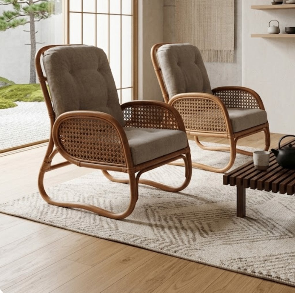 japandi rotan stoelen/ zetels, Huis en Inrichting, Ophalen, Gebruikt, Riet of Rotan, Twee