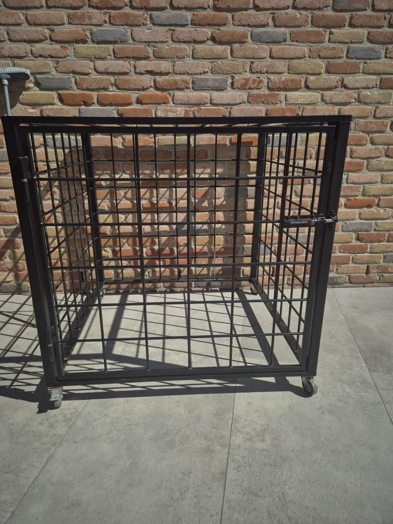 Cage pour grand chien