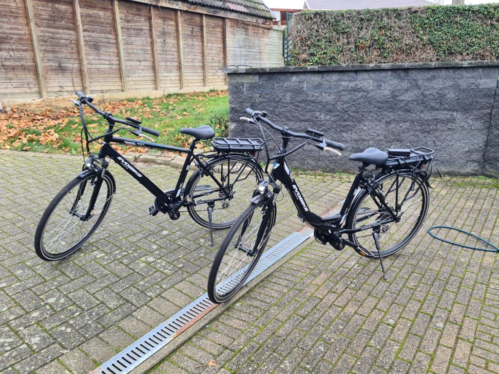 Elektrische fiets, Fietsen en Brommers, Elektrische fietsen, Ophalen