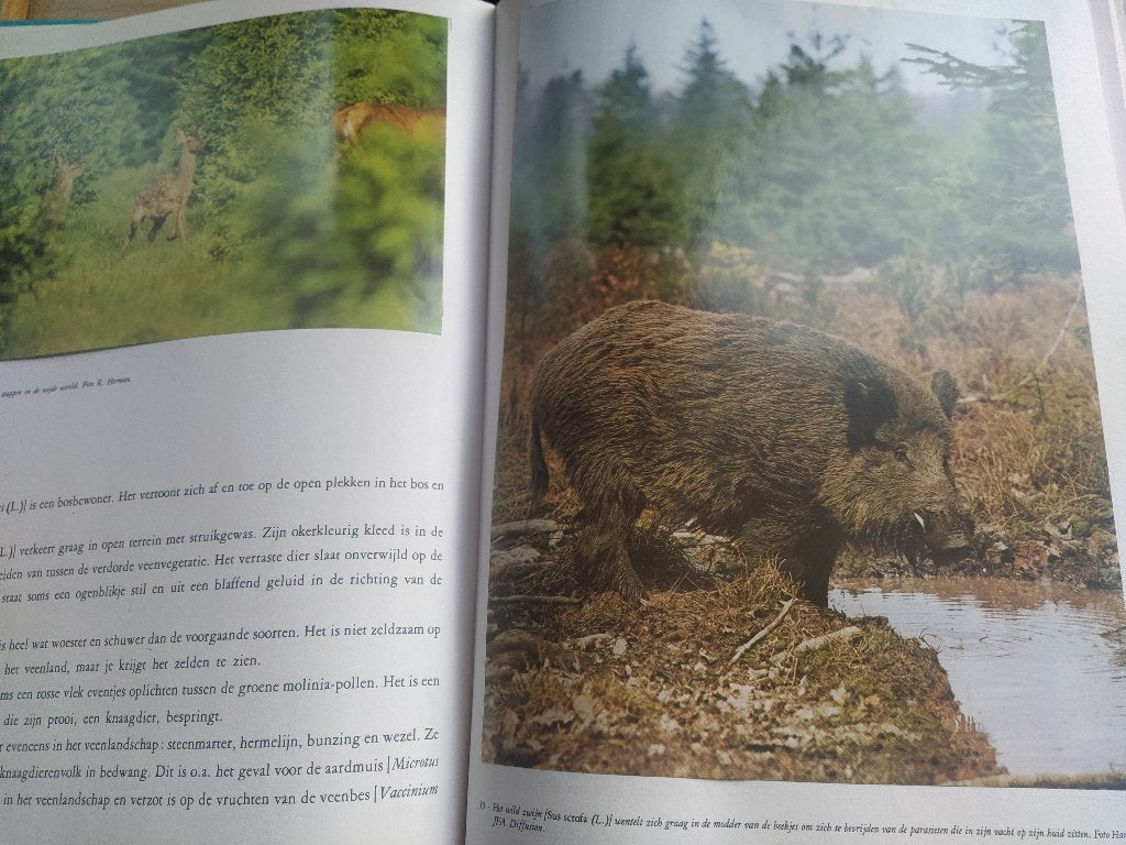 boek: natuur-en vogelreservaten/Hoge Venen & De Kempen, Boeken, Natuur, Ophalen of Verzenden, Gelezen, Natuur algemeen