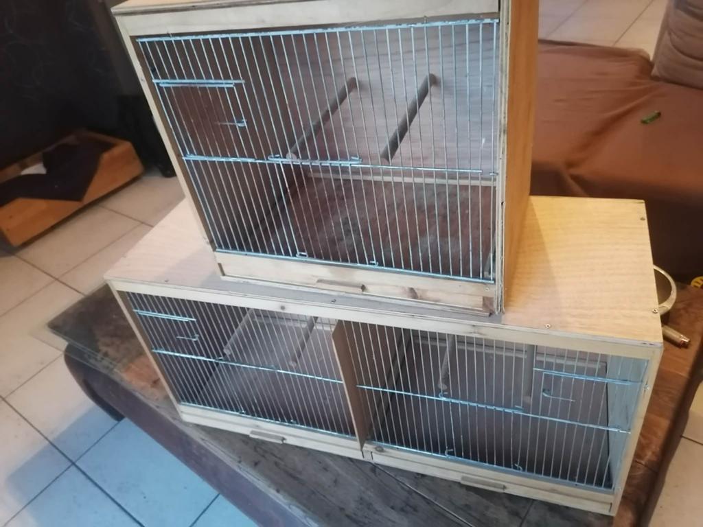 Cage d élevage pour oiseau, Enlèvement