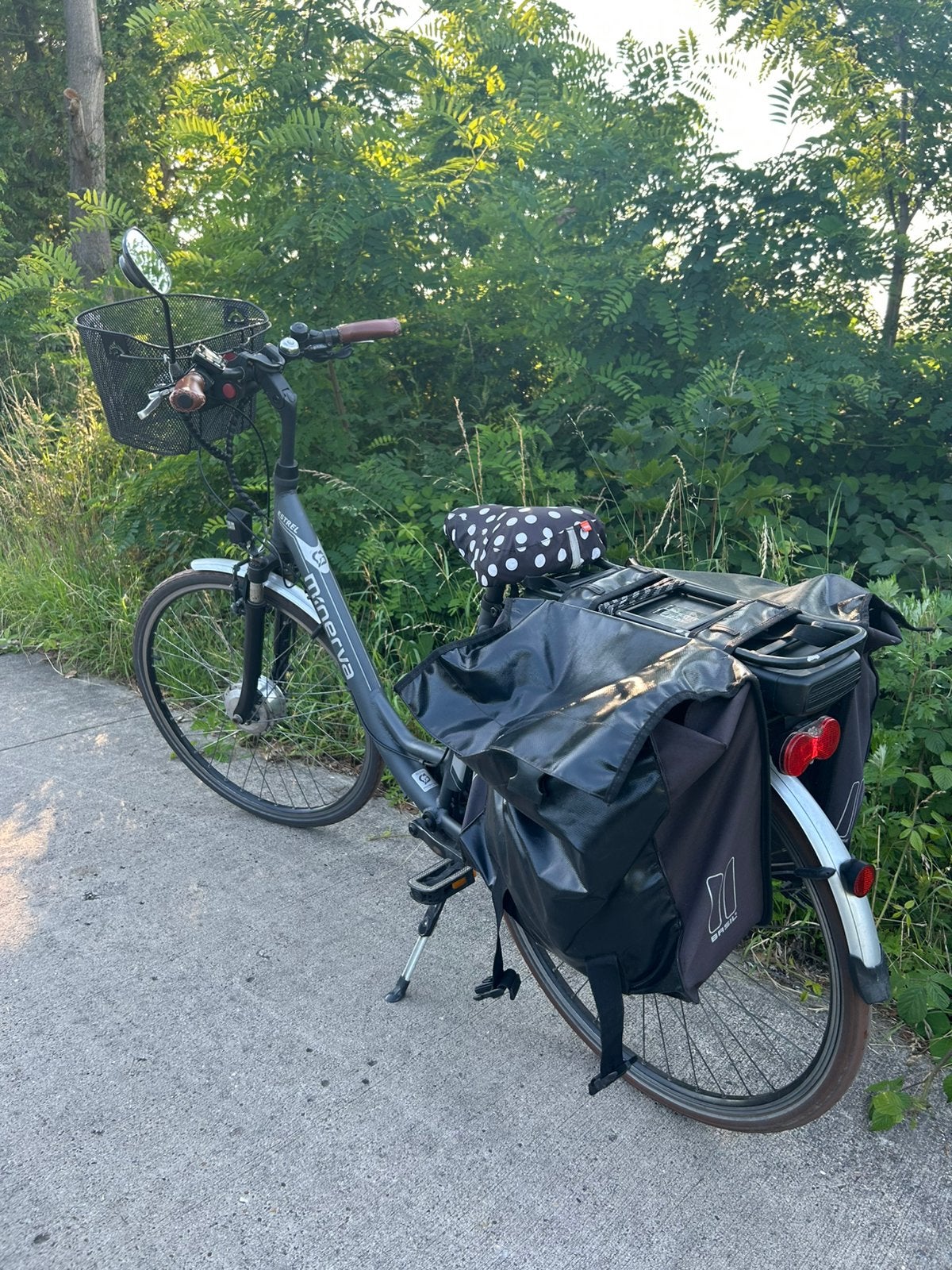 Elektrische fiets., Fietsen en Brommers, Verzenden, Zo goed als nieuw